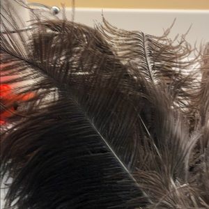 Meet your Posher, Anne